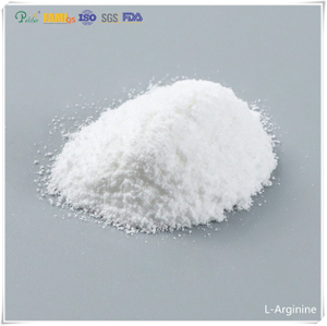 L-Arginin-Feed-Additive Ergänzung der Geflügelernährung