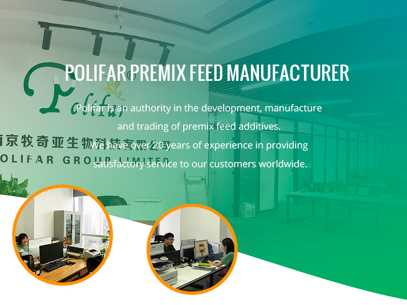 Premix-Feed-Manufacturer